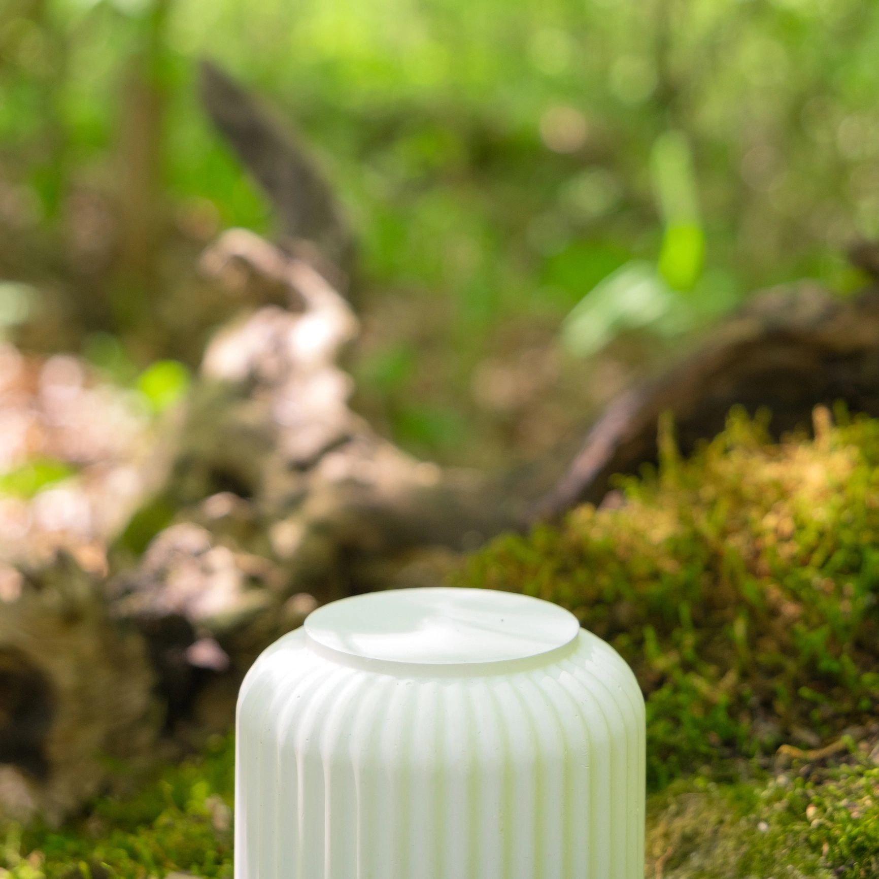 Minimal product podium in a mossy forest setting
